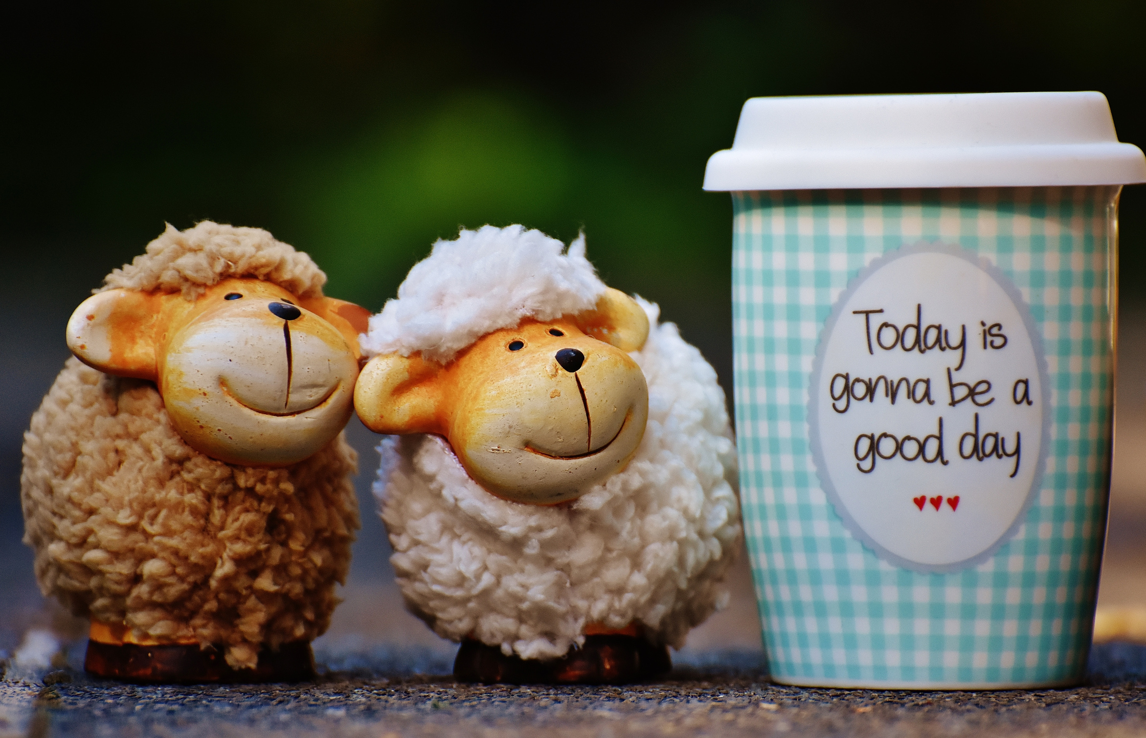 Cup of Coffee and Sheep Decors