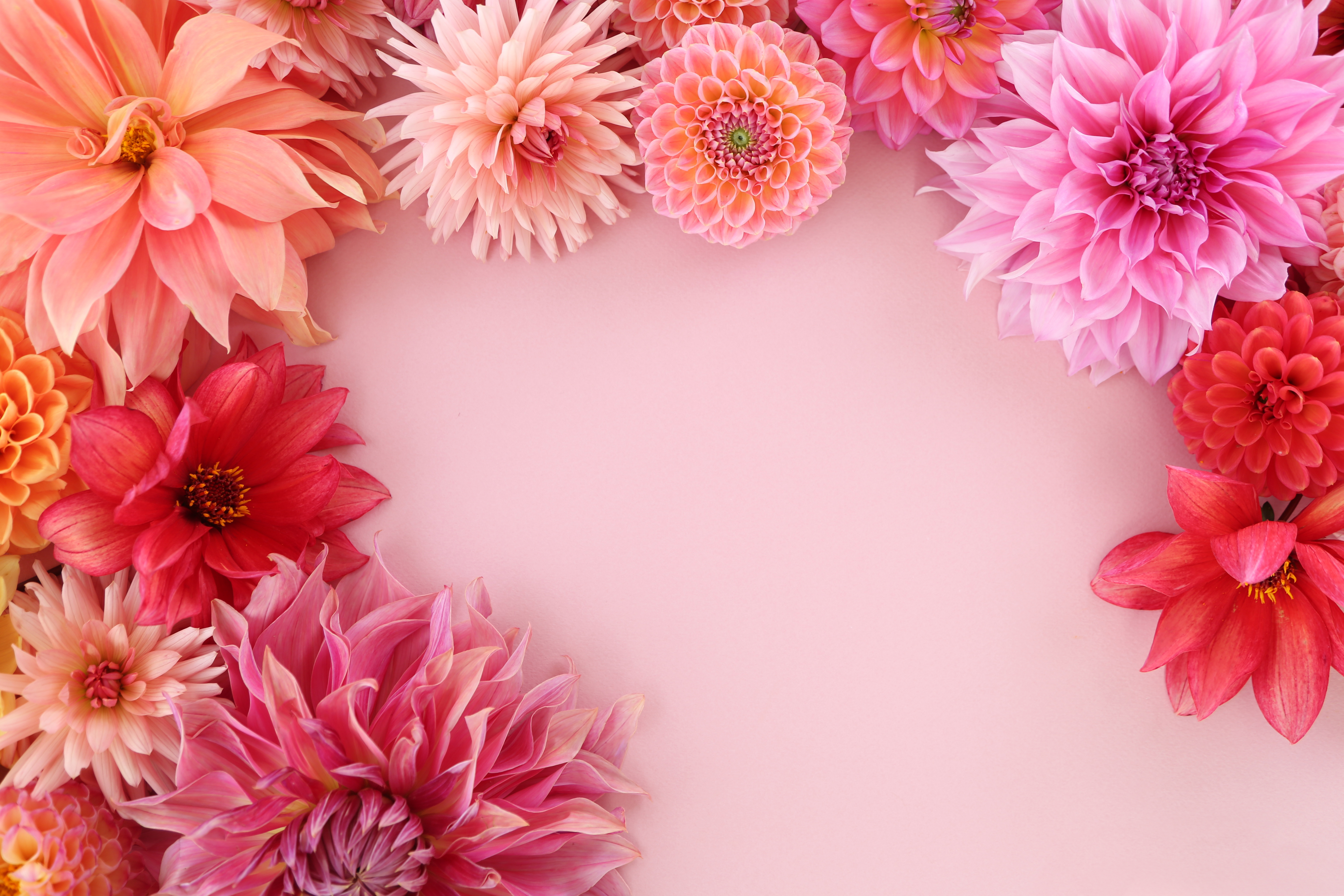 flower arrangement