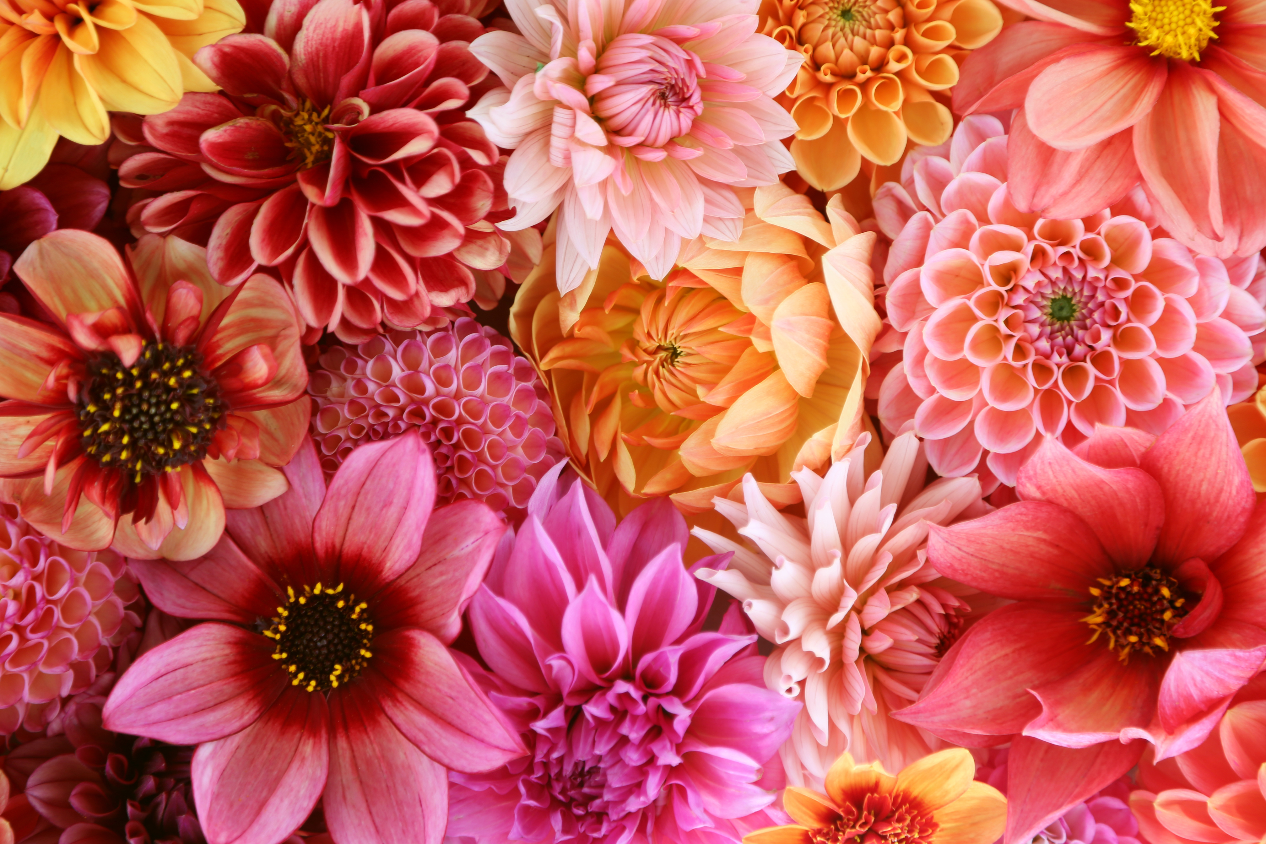 flower arrangement