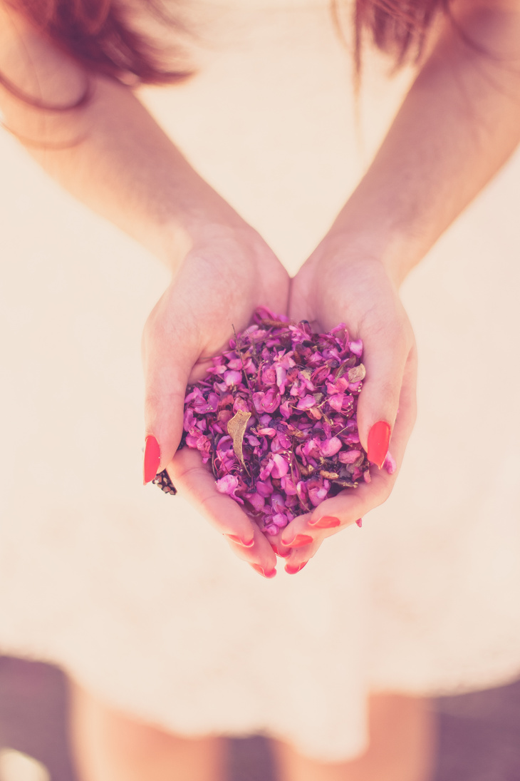 Close-up Photography of Person Holding Pink Petals